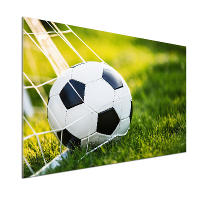 Panel antisalpicaduras El balón está en la portería.