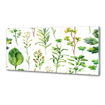 Salpicadero de cocina Hierbas y malezas