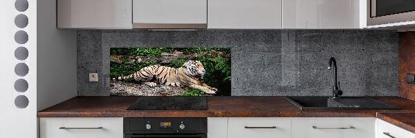 Panel para cocina Tigre en una roca