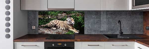 Panel para cocina Tigre en una roca