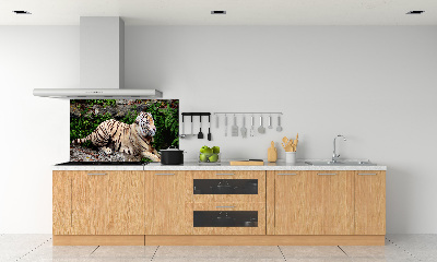 Panel para cocina Tigre en una roca