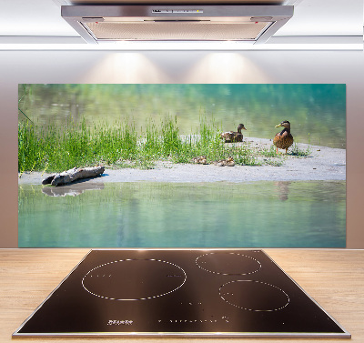 Panel de pared de cocina Patos junto al agua