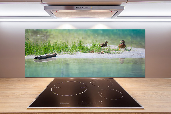 Panel de pared de cocina Patos junto al agua