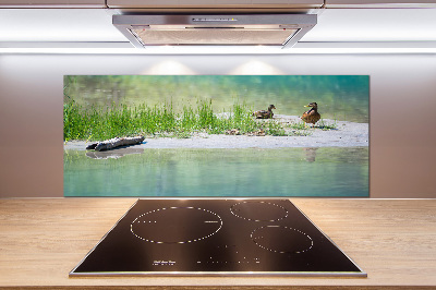 Panel de pared de cocina Patos junto al agua