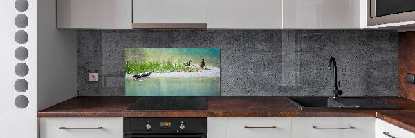 Panel de pared de cocina Patos junto al agua