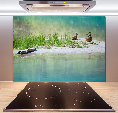 Panel de pared de cocina Patos junto al agua
