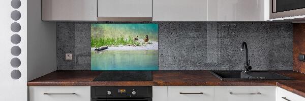 Panel de pared de cocina Patos junto al agua