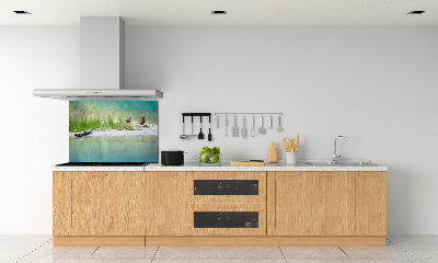 Panel de pared de cocina Patos junto al agua