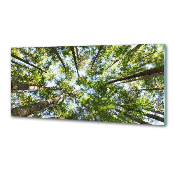 Panel dekor szkło Korona drzew