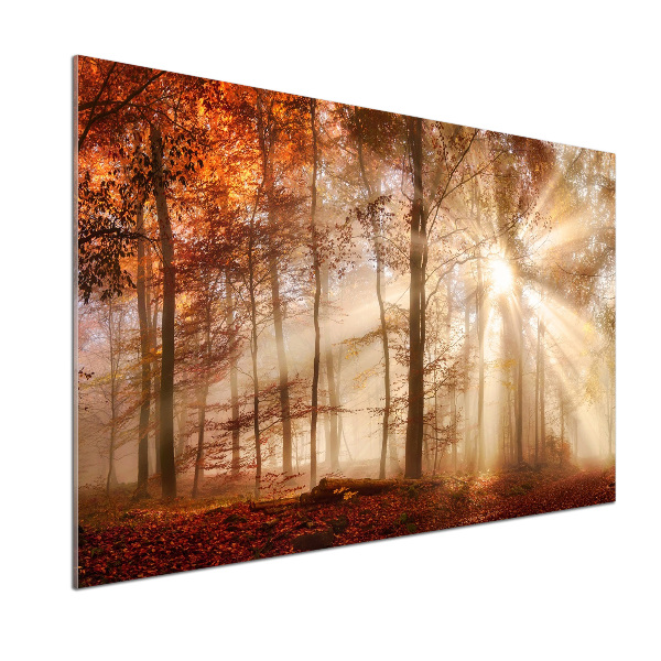 Panel antisalpicaduras Niebla en el bosque otoñal