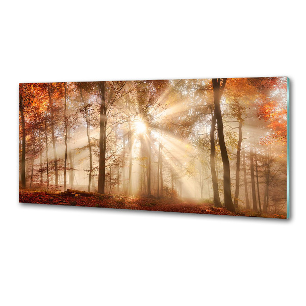 Panel antisalpicaduras Niebla en el bosque otoñal