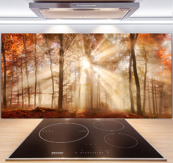 Panel antisalpicaduras Niebla en el bosque otoñal