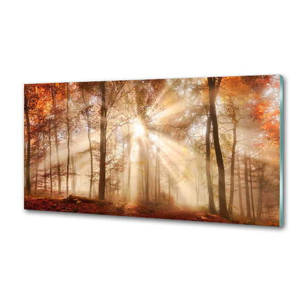 Panel lacobel Mgła w lesie jesień