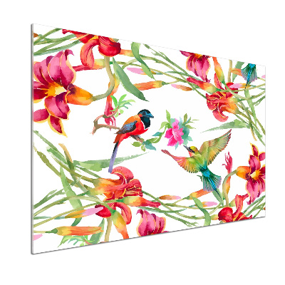 Panel de pared de cocina Aves exóticas