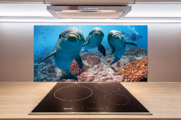 Panel para cocina Delfines