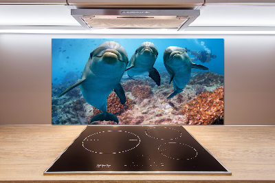 Panel para cocina Delfines