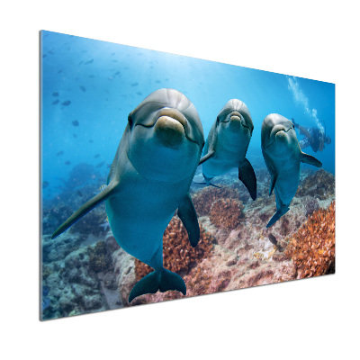 Panel para cocina Delfines