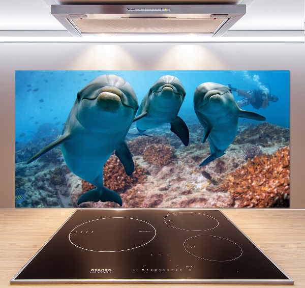 Panel para cocina Delfines