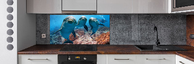 Panel para cocina Delfines
