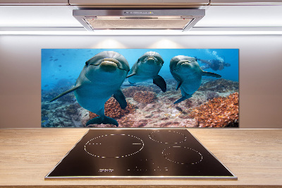 Panel para cocina Delfines