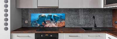 Panel para cocina Delfines