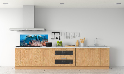 Panel para cocina Delfines