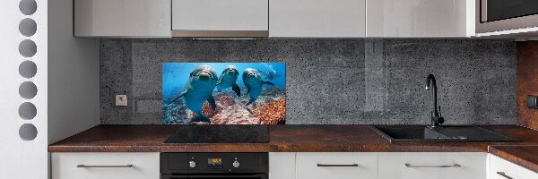 Panel para cocina Delfines