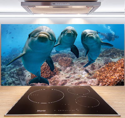 Panel para cocina Delfines