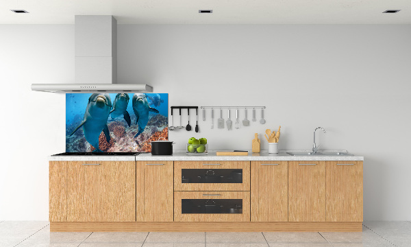 Panel para cocina Delfines