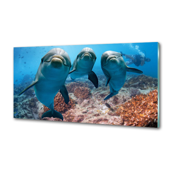 Panel para cocina Delfines