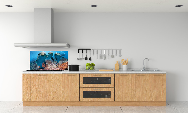 Panel para cocina Delfines