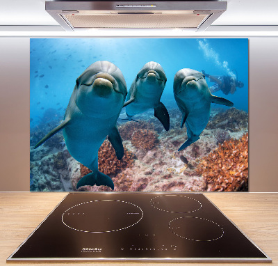 Panel para cocina Delfines
