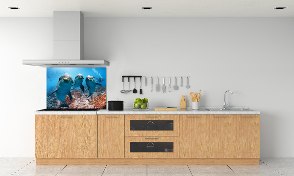 Panel para cocina Delfines