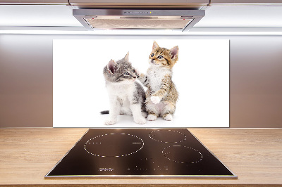 Panel de pared de cocina Dos pequeños gatos