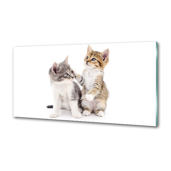 Panel de pared de cocina Dos pequeños gatos