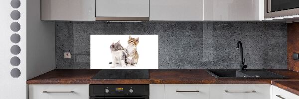 Panel de pared de cocina Dos pequeños gatos