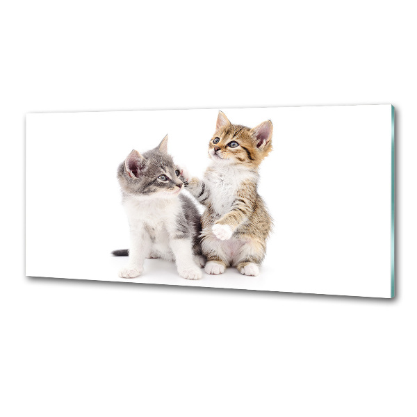 Panel de pared de cocina Dos pequeños gatos