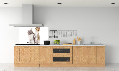 Panel de pared de cocina Dos pequeños gatos