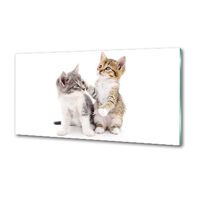 Panel de pared de cocina Dos pequeños gatos