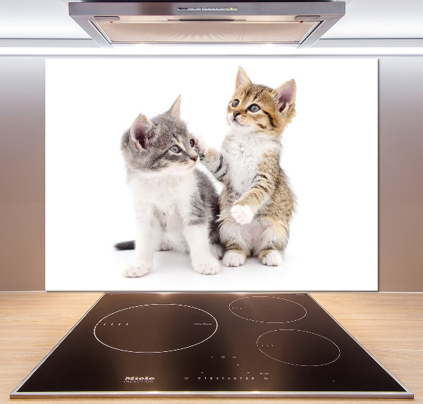 Panel de pared de cocina Dos pequeños gatos