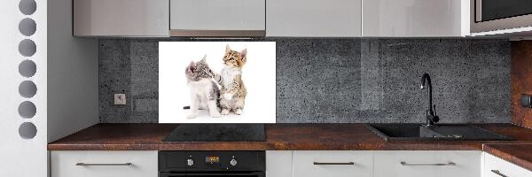 Panel de pared de cocina Dos pequeños gatos