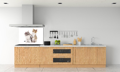 Panel de pared de cocina Dos pequeños gatos