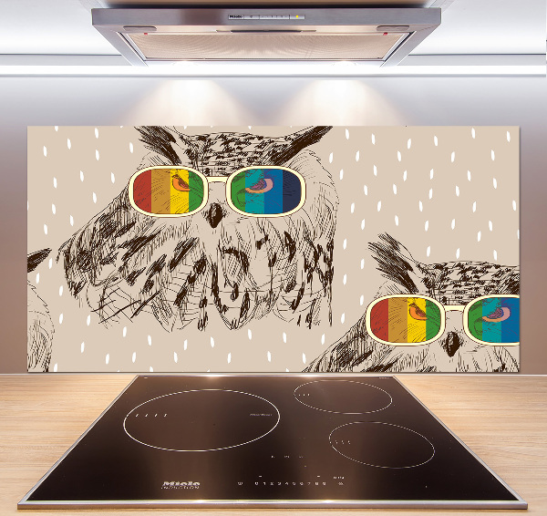 Panel para cocina Búhos con gafas