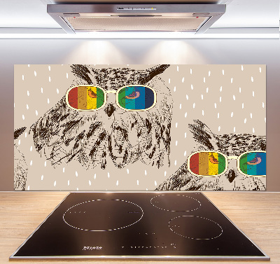 Panel para cocina Búhos con gafas