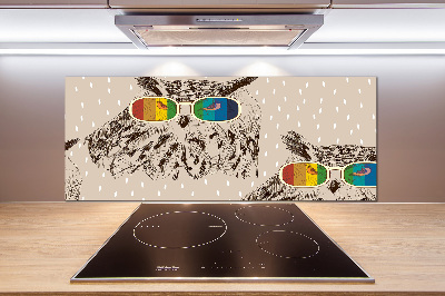 Panel para cocina Búhos con gafas