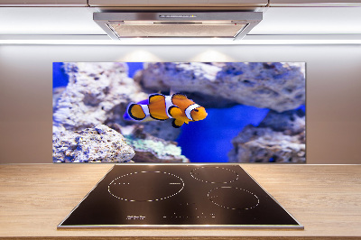 Panel antisalpicaduras pez payaso de arrecife de coral