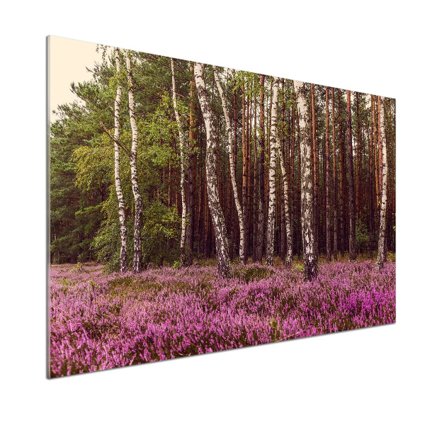 Salpicadero de cocina Páramo