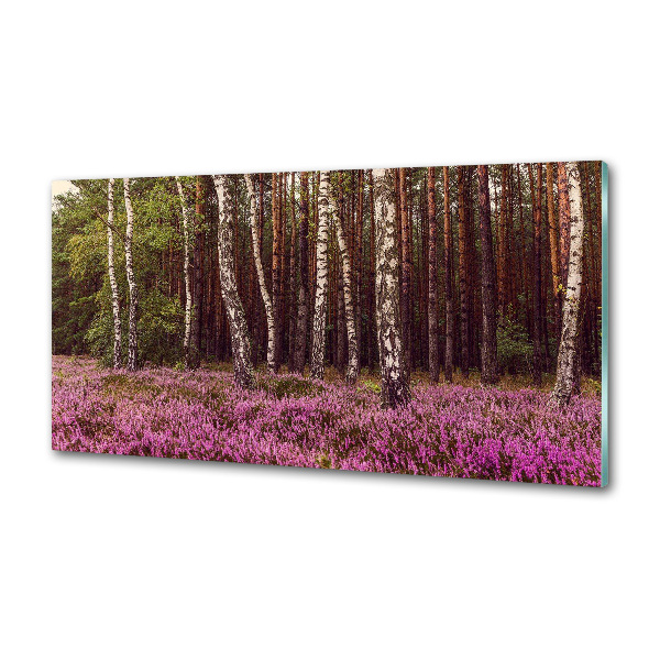 Salpicadero de cocina Páramo