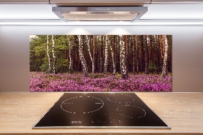 Salpicadero de cocina Páramo