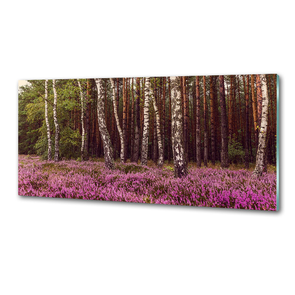 Salpicadero de cocina Páramo